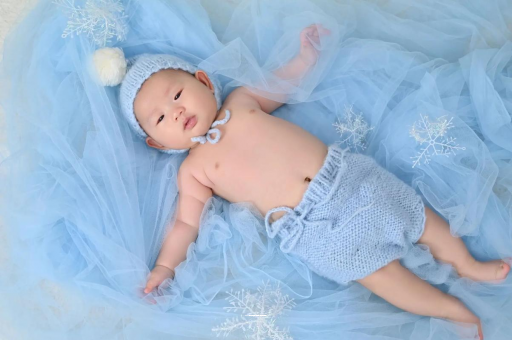 新乡宝宝树怎么样